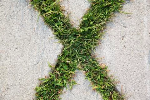 X shaped grass Stock Photos