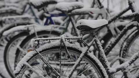 X177350 Stock Footage 117444986