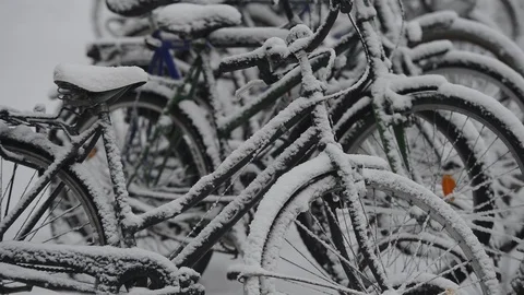 X177354 Stock Footage 117445020