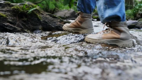 X53 Stock Footage 172391096