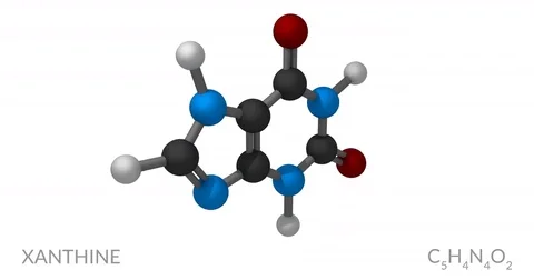 Xanthine molecule, rotating seamless loop, 3d animation, 4k 30fps Stock Footage 79013721