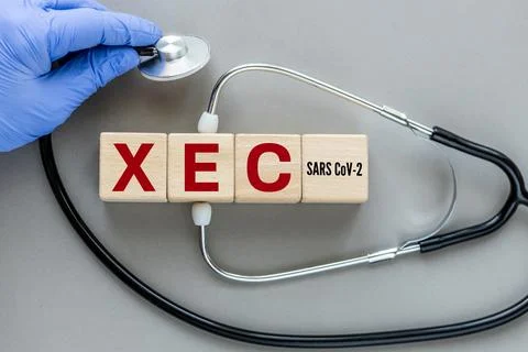 XEC, the latest subvariant of the SARS CoV-2 virus.  Stock Photos