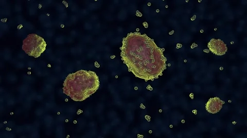Xenobots swimming in liquid solution. 3d render animation Stock Footage 323241754
