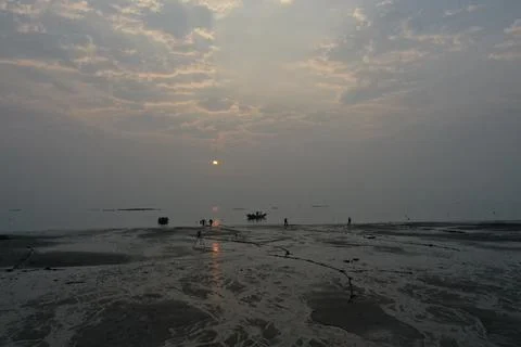 Xiamen Tidal Flat at Ground Level Before Dawn Stock Photos