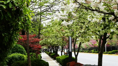 Xian 45 Video stock 742552