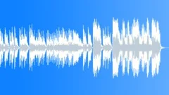 Xiao Lee Theme Stock Music