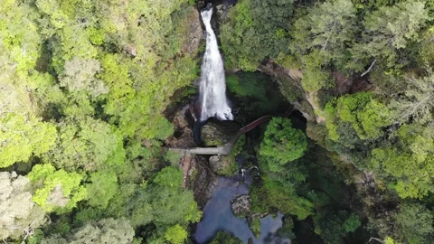 Xitou 1 動画素材 211954982