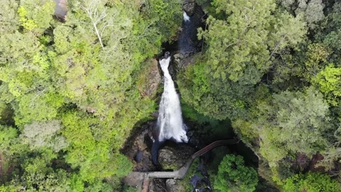 Xitou 2 動画素材 211955598