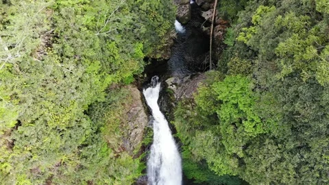 Xitou 3 動画素材 211955174