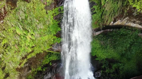 Xitou 4 動画素材 211954983