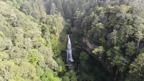 Xitou 5 動画素材 211954917