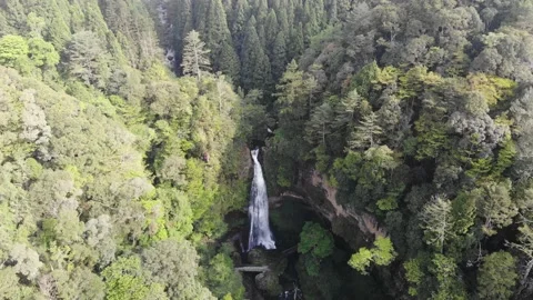 Xitou 6 動画素材 211955402