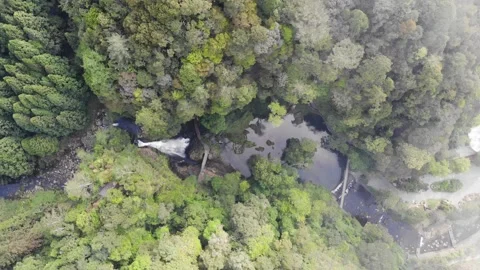 Xitou 7 動画素材 211954896