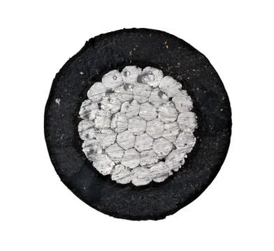 Xlpe cable at the cut Stock Photos