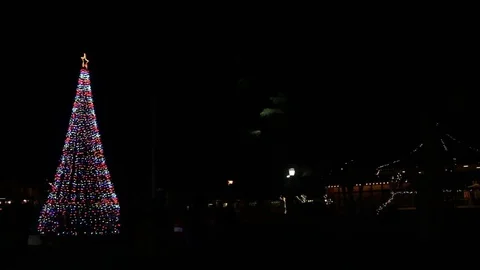 Xmas celebration park gathering Stock Footage 83247497