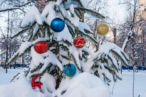 Xmas concept Stock Photos