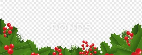 Xmas Frame With Holly Berry Transparent Background Stock Illustration