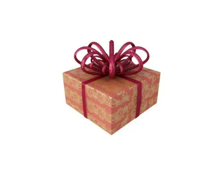 Xmas Gift 001 PAL element 001 Stock-Footage 283799