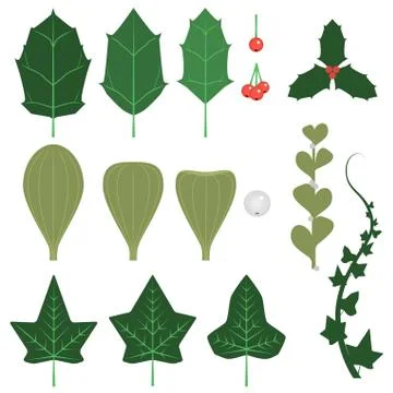 Xmas greenery Stock Illustration