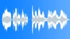 Xmas, Male Voice, Saying „Merry Christmas and a wonderful New Year!“, Young, V1Sound Effect