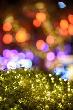 Xmas Stock Photos