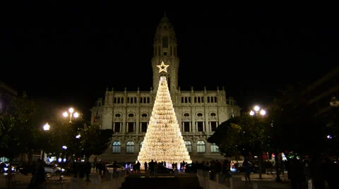 Xmas Tree in the city Stock Footage 33445115