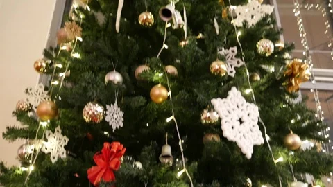Xmas tree Stock Footage 100594770