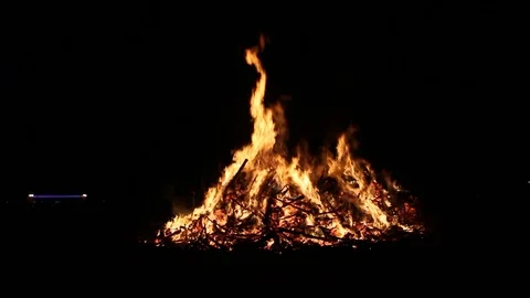 Xmas trees on fire Stock Footage 122355902