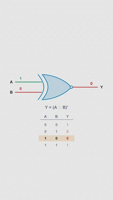 XNOR Gate Clean No Text Logic Gate Truth Table Alpha 4K Vertical 9x16 Light Видео 339529186