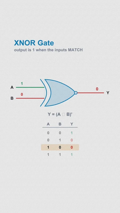 XNOR Gate Labeled Logic Gate Truth Table Animation Alpha 4K Vertical 9x16 Light Видео 339529220