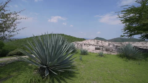 Xochicalco archaeological zone Stock Footage 135943307