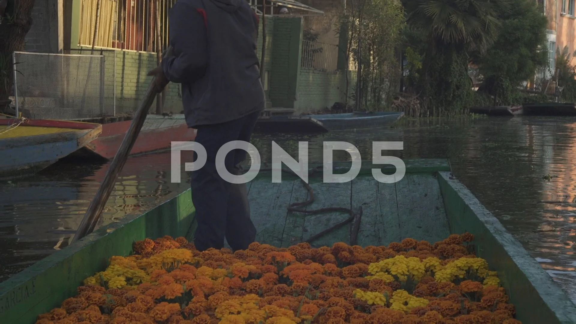 Xochimilco Trajinera flor de cempasúchi... | Stock Video | Pond5