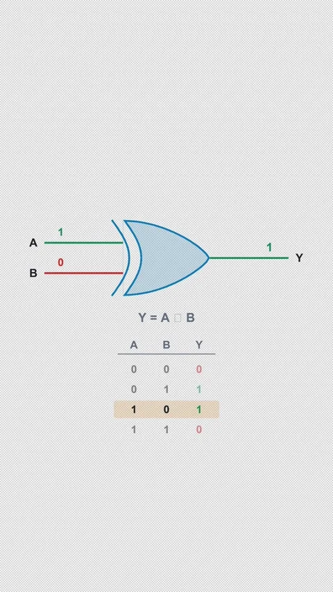 XOR Gate Clean No Text Logic Gate Truth Table Alpha 4K Vertical 9x16 Light Видео 339529203