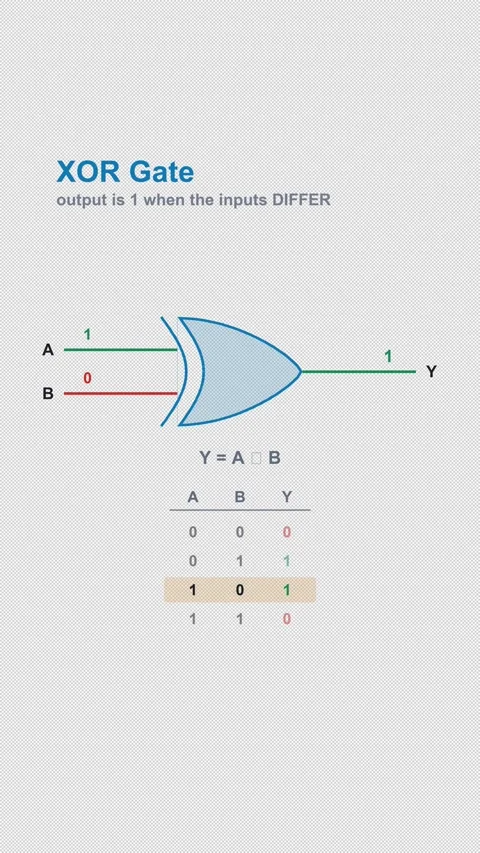 XOR Gate Labeled Logic Gate Truth Table Animation Alpha 4K Vertical 9x16 Light 스톡 동영상 339529248