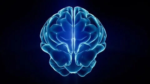 Xray brain Illustrazione stock