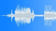 XRay Film Place In Sound Effect