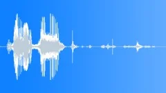 XRay Film Remove Sound Effect
