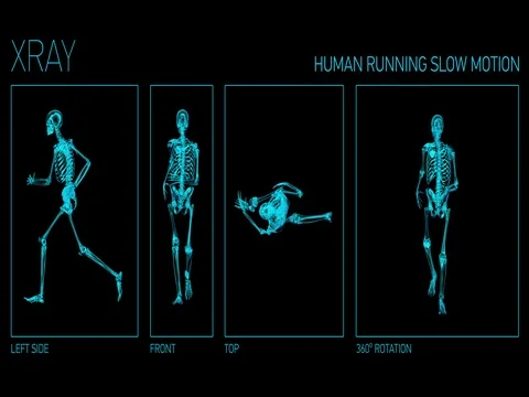 Xray human running in slow motion, 4K, loop and alpha channel Stock Footage 77519092