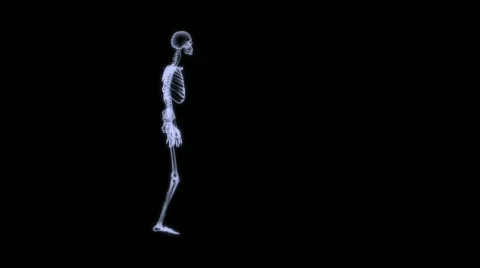 Xray of human skeleton running Stock Footage 91390