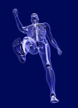 XRay Man from Below Stock Illustration