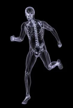 Xray Man Running 3/4 View Stock Illustration