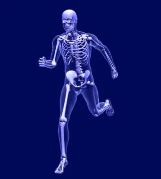 Xray Man Running Stock Illustration