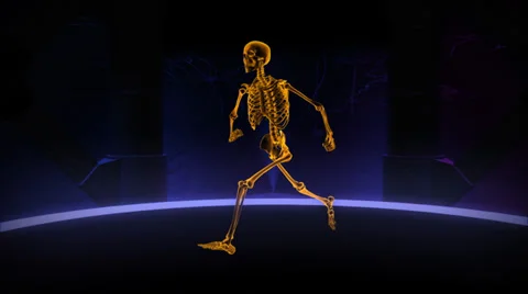 Xray running human Stock Footage 36967018