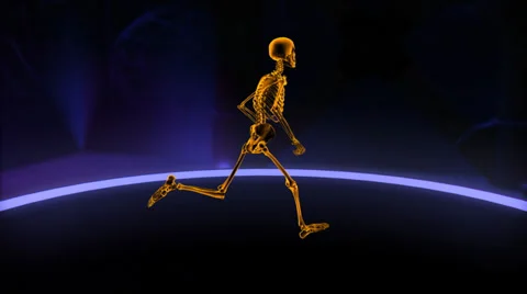 Xray running skeleton Slow Motion Loop Stock Footage 38503855