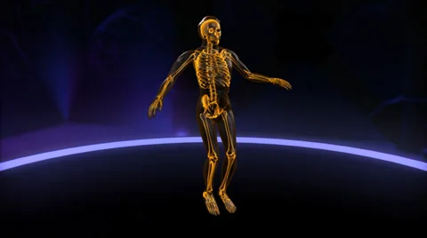 Xray skeleton with skin doing Jumping Jacks Loop Stock Footage 38504012