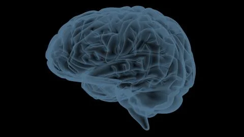 Xray transparent brain Illustrazione stock