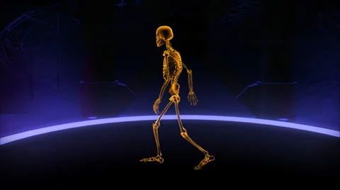 Xray walking human Stock Footage 36937329