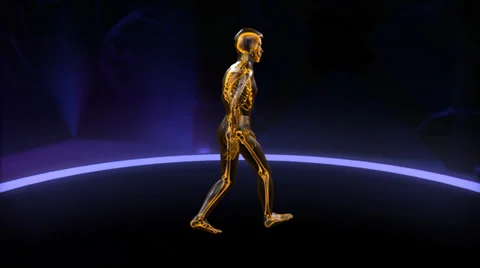 Xray walking skeleton with skin Loop Stock Footage 38503965