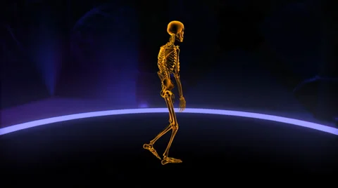Xray walking skeleton Slow Motion Loop Stock Footage 38503834