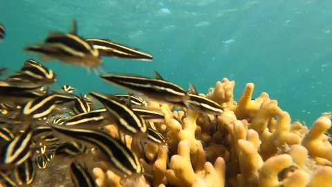 XRKM6511 Stock Footage 128096701